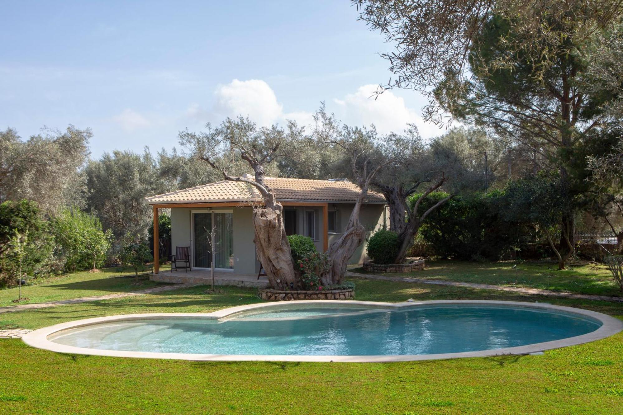 Poly's Lefkada * Apolpaina
