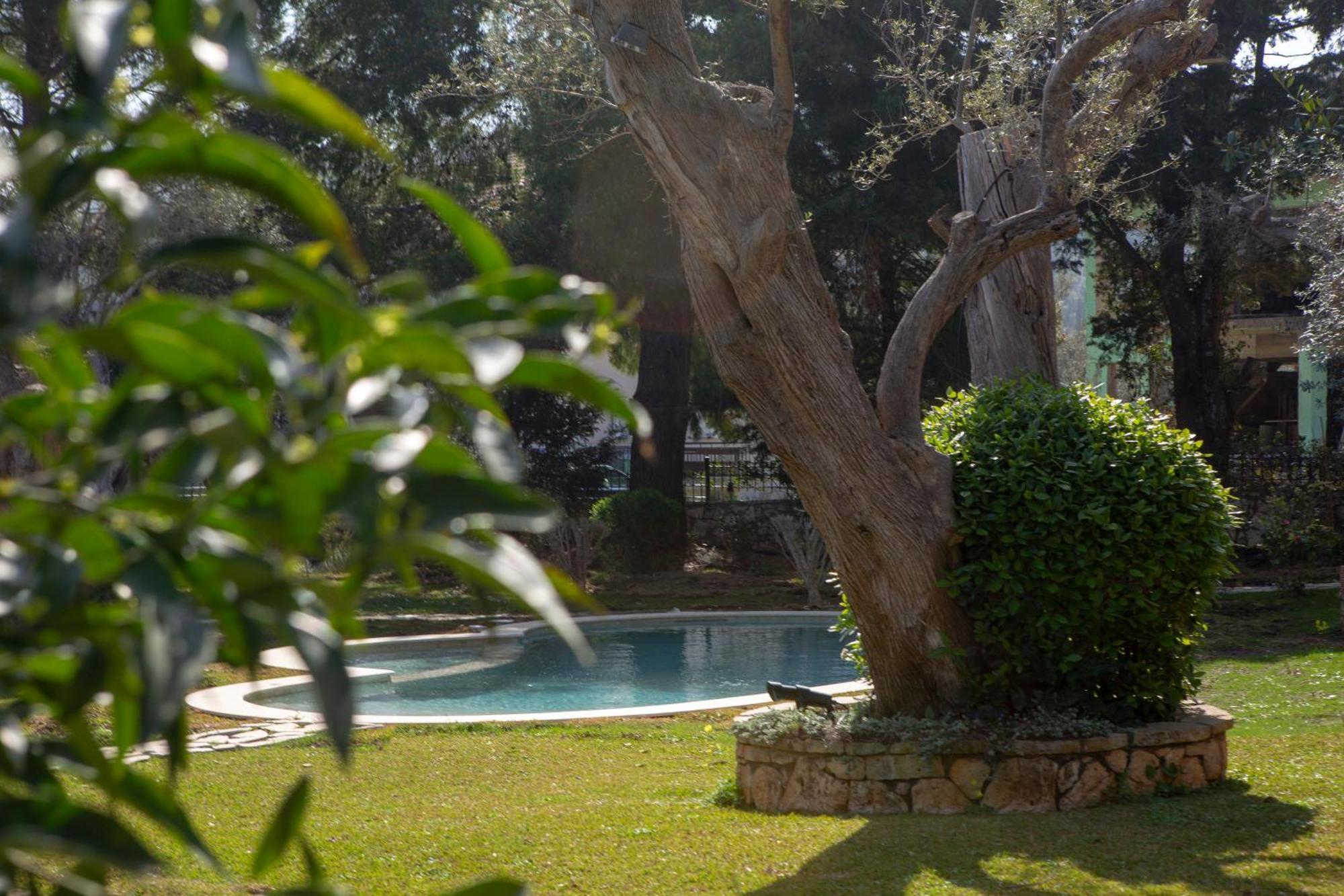 Apartment Poly's Lefkada Apolpaina
